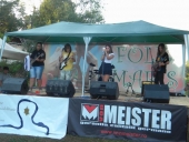 Editia V a Festivalului 